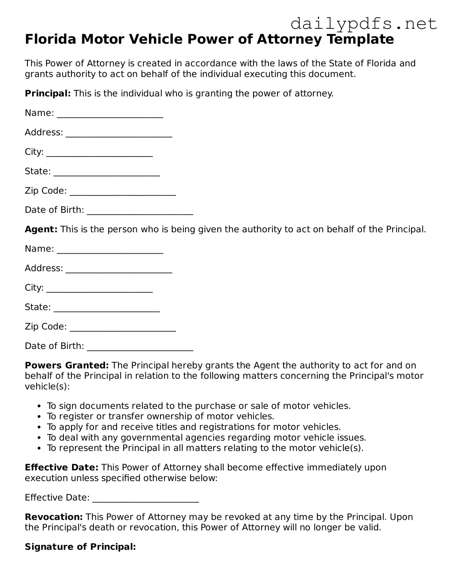 Free  Motor Vehicle Power of Attorney Template for Florida