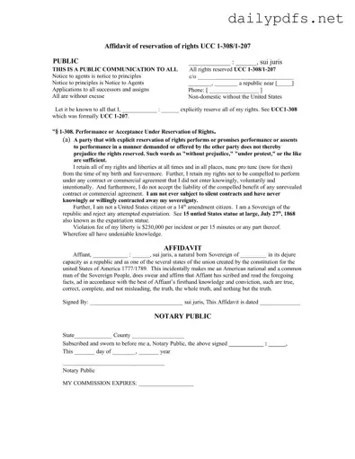 Fill Out Your Ucc 1 308 Form